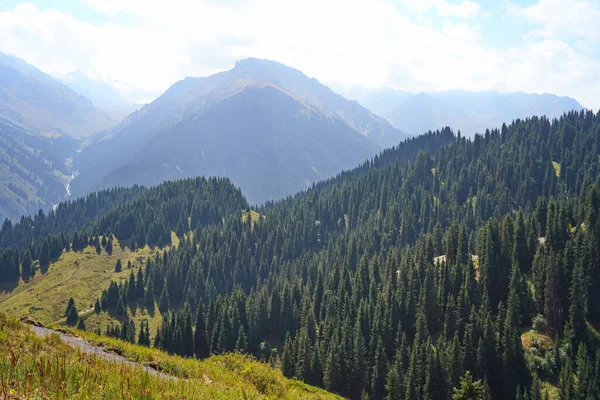 The Oi-Karagai Gorge. Mountainous area with different vegetation. Ile-Alatau National Park.