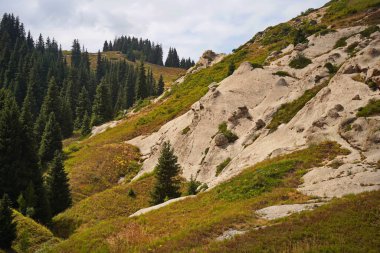 Oi-Karagai Geçidi. Farklı bitki örtüsü olan dağlık bir bölge. Ile-Alatau Milli Parkı.