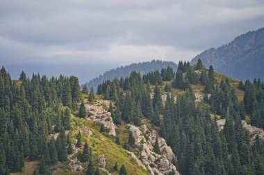 Oi-Karagai Geçidi. Farklı bitki örtüsü olan dağlık bir bölge. Ile-Alatau Milli Parkı.