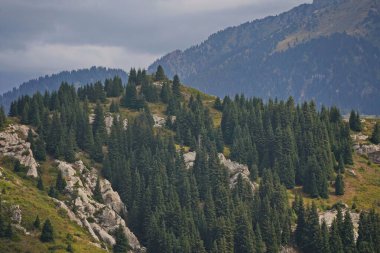 Oi-Karagai Geçidi. Farklı bitki örtüsü olan dağlık bir bölge. Ile-Alatau Milli Parkı.