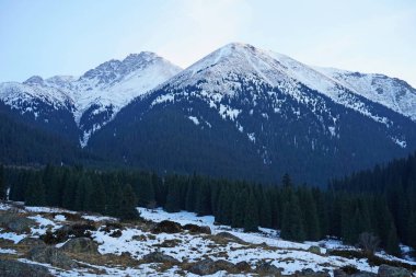 Kaskelen Boğazı. Ile-Alatau Ulusal Doğa Parkı. Farklı bitki örtüsüne sahip dağlık bölge.