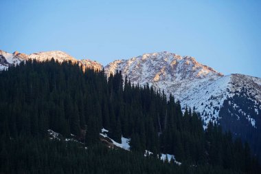 Kaskelen Boğazı. Ile-Alatau Ulusal Doğa Parkı. Farklı bitki örtüsüne sahip dağlık bölge.