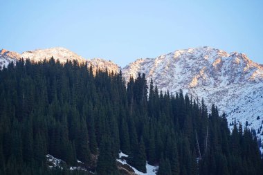 Kaskelen Boğazı. Ile-Alatau Ulusal Doğa Parkı. Farklı bitki örtüsüne sahip dağlık bölge.