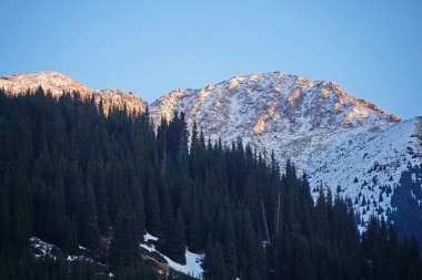 Kaskelen Boğazı. Ile-Alatau Ulusal Doğa Parkı. Farklı bitki örtüsüne sahip dağlık bölge.