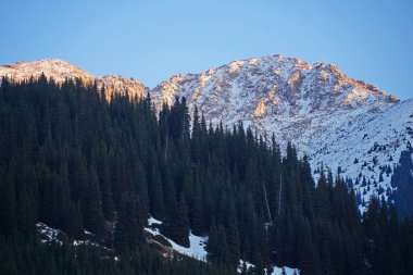 Kaskelen Boğazı. Ile-Alatau Ulusal Doğa Parkı. Farklı bitki örtüsüne sahip dağlık bölge.