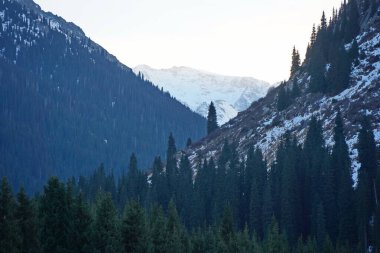 Kaskelen Boğazı. Ile-Alatau Ulusal Doğa Parkı. Farklı bitki örtüsüne sahip dağlık bölge.