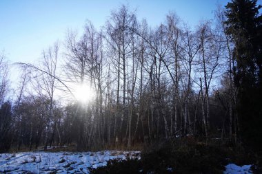 Kaskelen Boğazı. Ile-Alatau Ulusal Doğa Parkı. Farklı bitki örtüsüne sahip dağlık bölge.