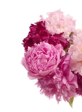 farklı renk peonies