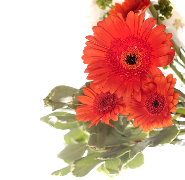 Buket gerbera ile