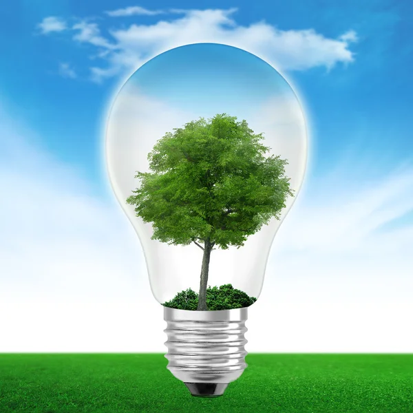 Light bulb with tree Stock Image