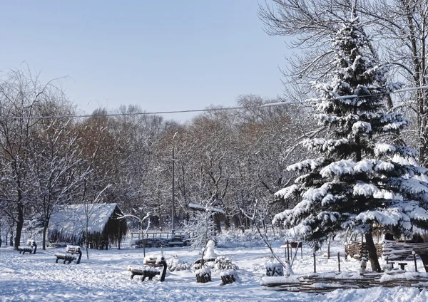 Parque cubierto de nieve — Foto de Stock