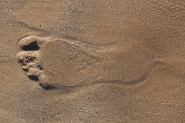 çıplak ayak izini