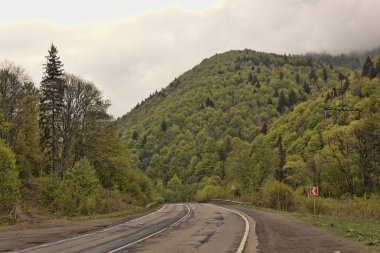 Mayıs ayında yalnız yol Karpatlar