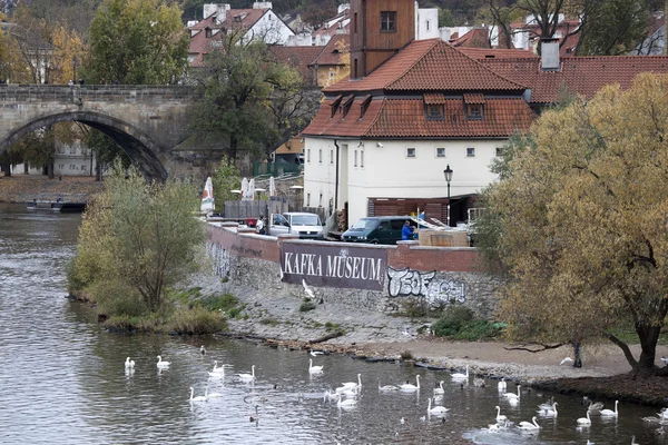 Museo Kafka a Praga — Foto Stock