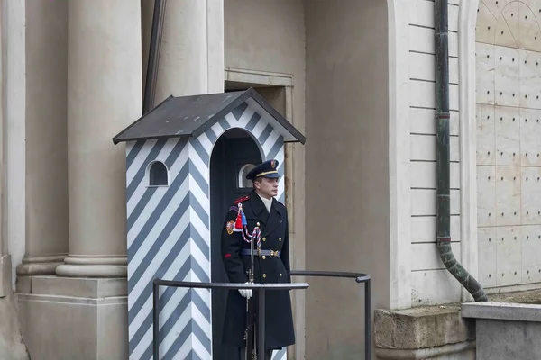 Czech guard at the entrance to Prague Castle — Stock Photo, Image