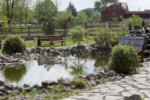 Teich mit Enten — Stockfoto