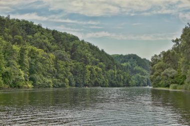 Orman coast seversky donets yakınında