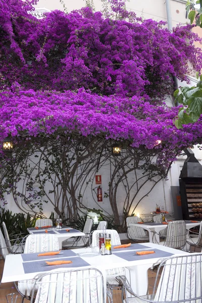 Street restaurant in Calella — Stock Photo, Image