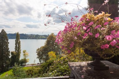 Klasik taştan bir vazoda pembe petunyalar Mainau Adası 'nın teraslarından Constance Gölü' nün manzaralı manzarasını çerçeveliyor. Bulutlu bir gökyüzü altında yemyeşil ve uzak kıyılar var, Konstanz.