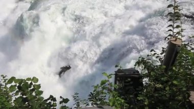 Ren Şelalesi, Avrupa 'nın en büyük şelalesi, güçlü akışı ve spreyden görülebilen gökkuşağı, Neuhausen am Rheinfall ve Laufen-Uhwiesen kasabaları yakınlarında.
