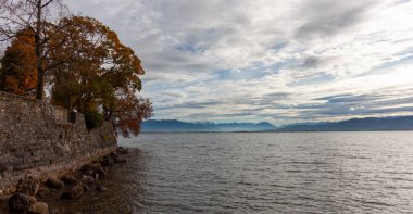 Almanya 'nın Lindau kentindeki Constance Gölü' nün (Bodensee) sonbahar manzarası, yıpranmış taş bir duvar, titreşen yapraklar ve bulutlu bir gökyüzünün altındaki uzak Alpleri gösteriyor.