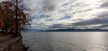 Almanya 'nın Lindau kentindeki Constance Gölü' nün (Bodensee) sonbahar manzarası, yıpranmış taş bir duvar, titreşen yapraklar ve bulutlu bir gökyüzünün altındaki uzak Alpleri gösteriyor.