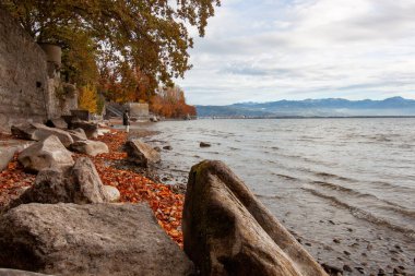 Almanya 'nın Lindau kentindeki Constance Gölü' nün (Bodensee) kayalık kıyı şeridinin atmosferik sonbahar manzarası, düşen yapraklar, uzak bir figür ve dramatik bir gökyüzü altındaki dağlar