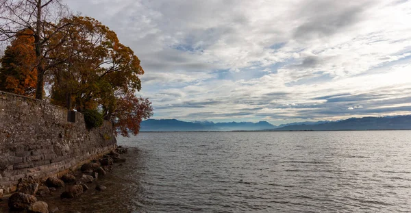Almanya 'nın Lindau kentindeki Constance Gölü' nün (Bodensee) sonbahar manzarası, yıpranmış taş bir duvar, titreşen yapraklar ve bulutlu bir gökyüzünün altındaki uzak Alpleri gösteriyor.