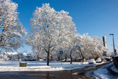 Şiddetli beyaz karla kaplı büyük ağaçlar ve mavi gökyüzünün altında park edilmiş arabalar arasında kıvrılan bir yol manzarası.