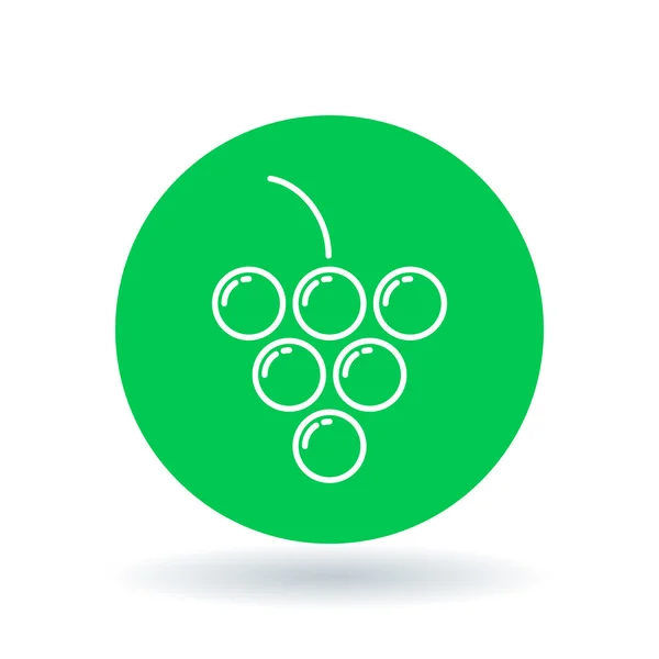 Εικονίδιο σταφυλιών. Πινακίδα του συμπλέγματος σταφυλιών. σύμβολο του καρπού. Εικονίδιο λευκού σταφυλιού σε πράσινο κύκλο φόντο. Απεικόνιση διανυσματικών φορέων. — Διανυσματικό Αρχείο