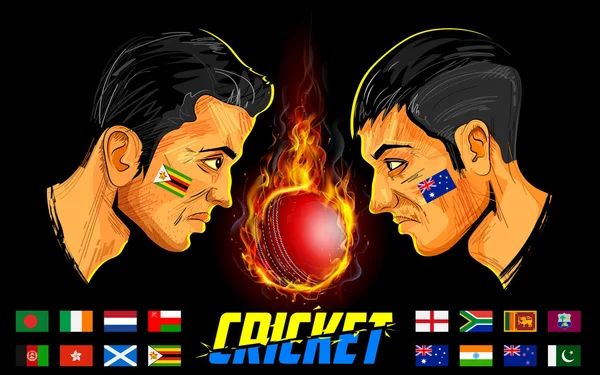 Joueurs de cricket du championnat de cricket — Image vectorielle