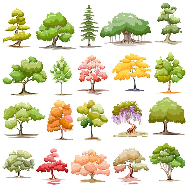 Set of Tree — Stock Vector