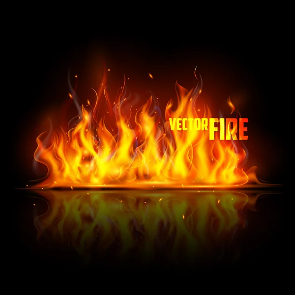 Realistic Burning Fire Flame — Stock Vector