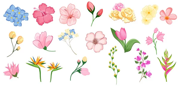 Set aus Blumenzweig mit Blume und grünen Blättern für Hochzeitssträuße, Karten, Designs. Gestecke für Poster, Grußkarten oder Einladungskarten — Stockvektor
