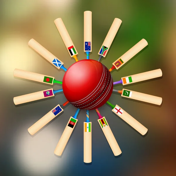 Batte de cricket de différents pays participants — Image vectorielle