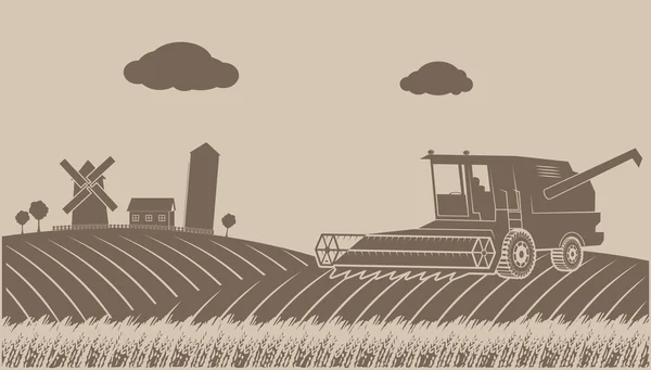 Schoonmaken van graan groeiende rurale landschap — Stockvector