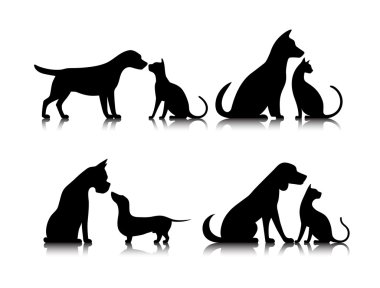 simge köpek ve kedi