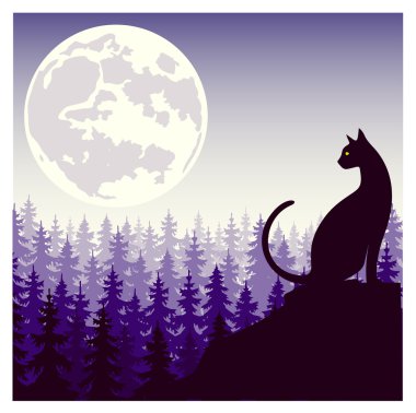 mistik bir kedi ayın arka planı silüeti