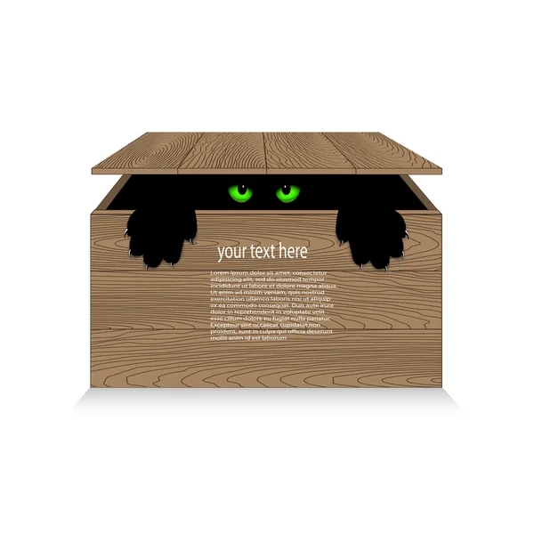 Angry cat in a wooden box — Stock Vector