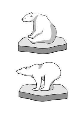 Buz üstünde kutup ayısı