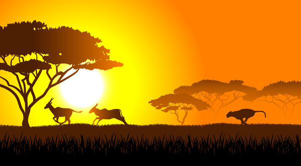 Африканская саванна вечерний пейзаж
