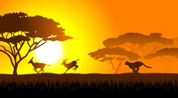 La sabana africana el paisaje de tarde — Vector de stock