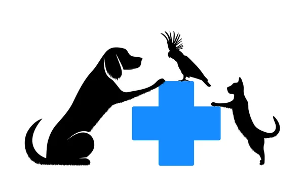 Simbolo della medicina veterinaria — Vettoriale Stock