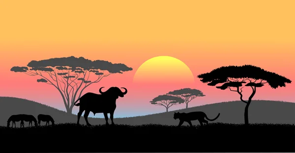 Savane africaine un paysage nocturne — Image vectorielle