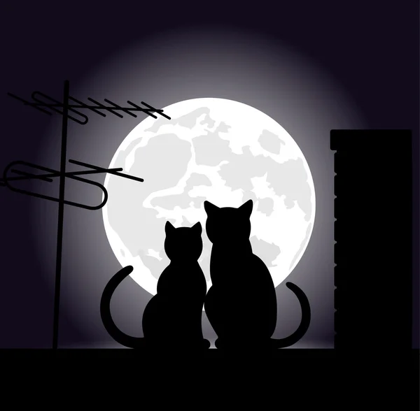 Katzen auf einem Nachtdach — Stockvektor