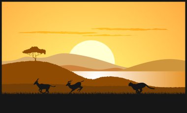 Afrika savana bir akşam peyzaj