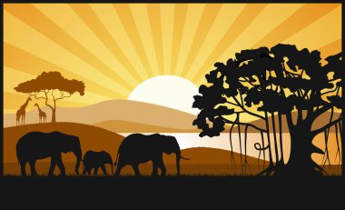 Afrika savana bir akşam peyzaj
