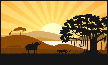 Afrika savana bir akşam peyzaj