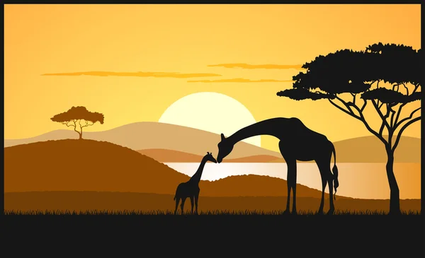 Savane africaine un paysage nocturne — Image vectorielle