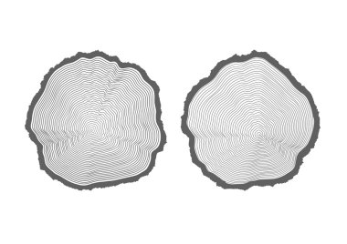 ahşap doku yüzük. Ağaç kesme